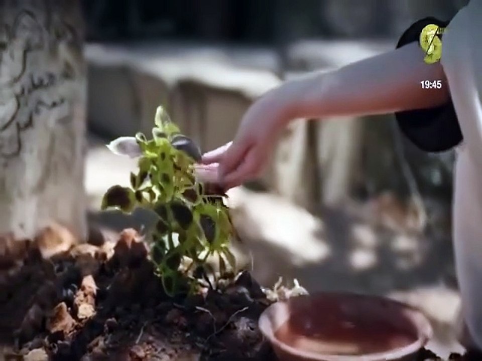 مسلسل فاطمة الحلقة 11 الحادية عشر