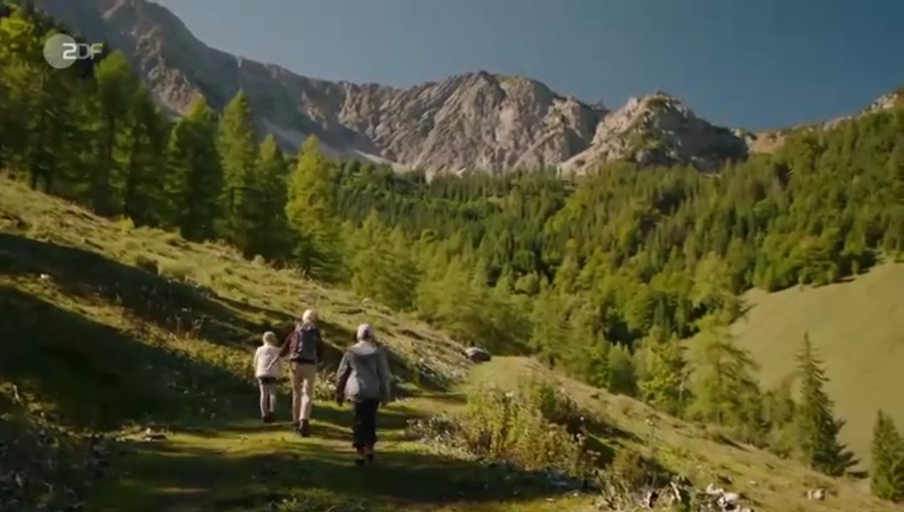 Frühling -59- Vergiss mein nicht