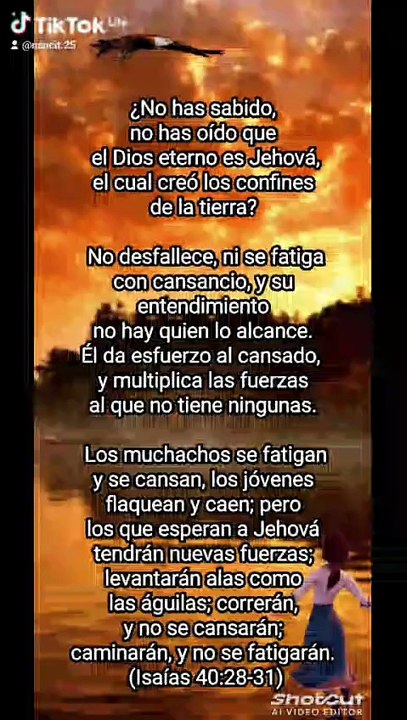 Nuevas fuerzas en Jehová 🙏.
