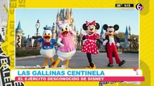 Las gallinas ¿el ejercito desconocido de Disney?