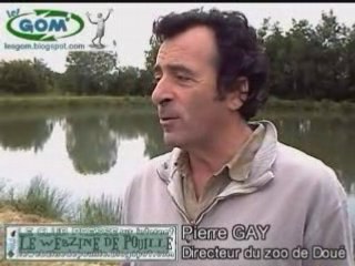 Interview Pierre Gay