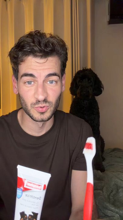 Je brosse les dents d’Olga 🐶