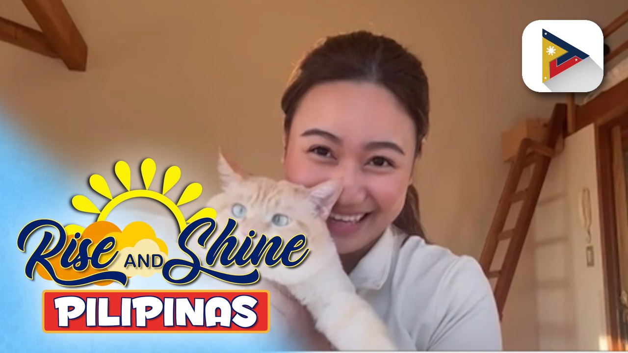 Wednesday Pet's Day | Daikon the flame point siamese