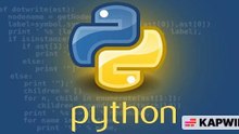 Python Development & Software Engineering Services