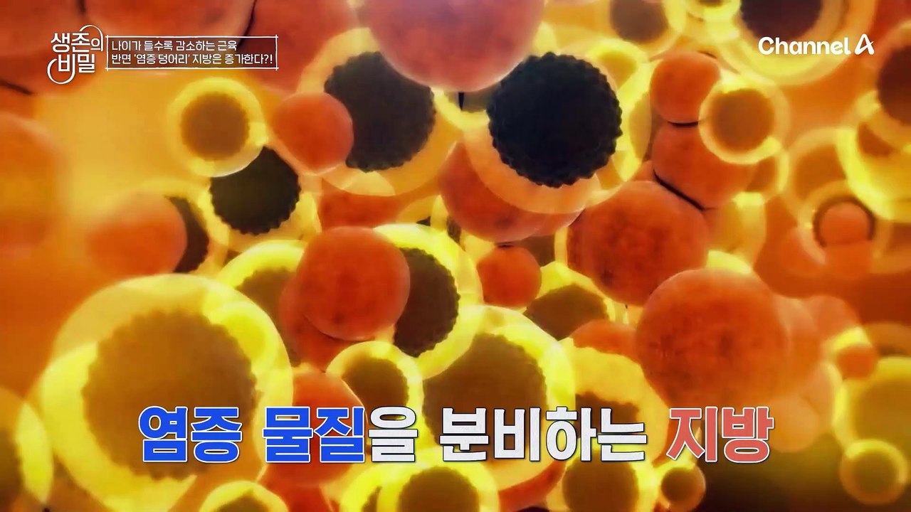 생존력 끌어올려↗ ! 근력 운동과 흑염소 진액으로 염증 타파 성공?!