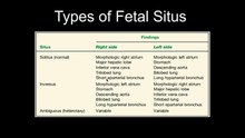 2. Normal Fetal Cardiac Anatomy The Cardiac Chambers