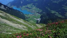Détente Anti-Stress : Musique Relaxante de Montagne pour le Sommeil et le Calme Intérieur