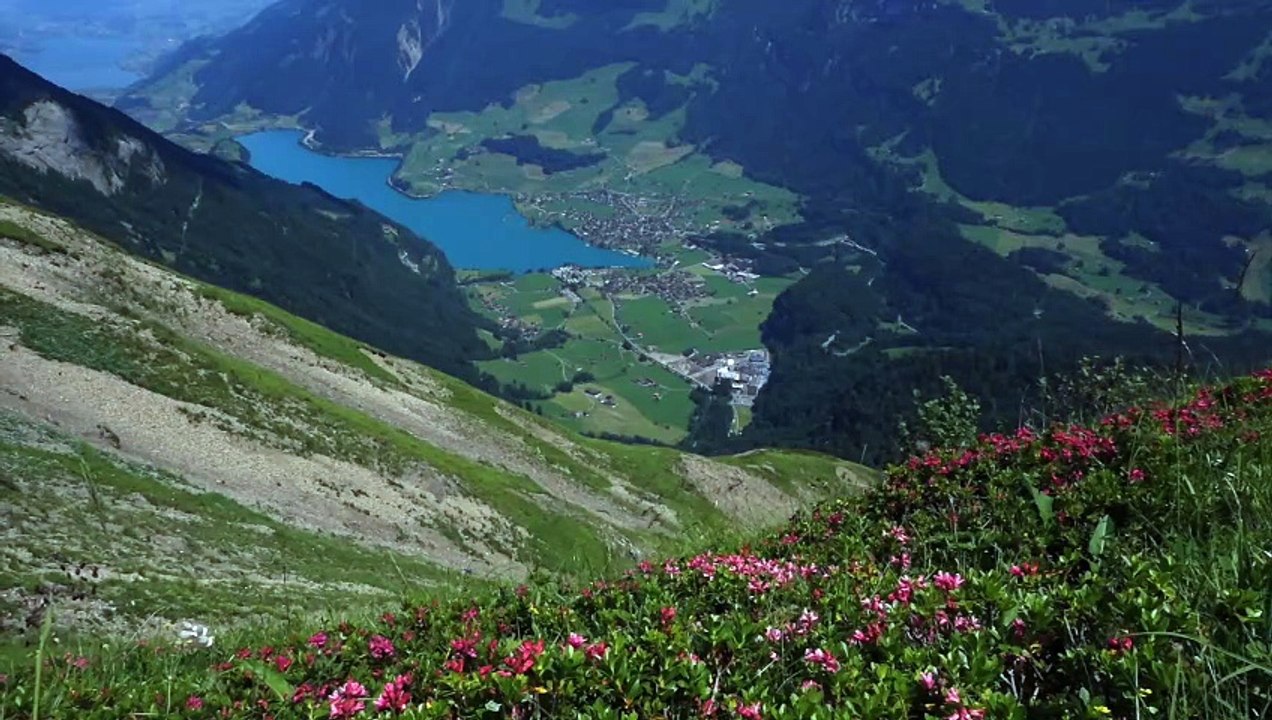 Détente Anti-Stress : Musique Relaxante de Montagne pour le Sommeil et le Calme Intérieur