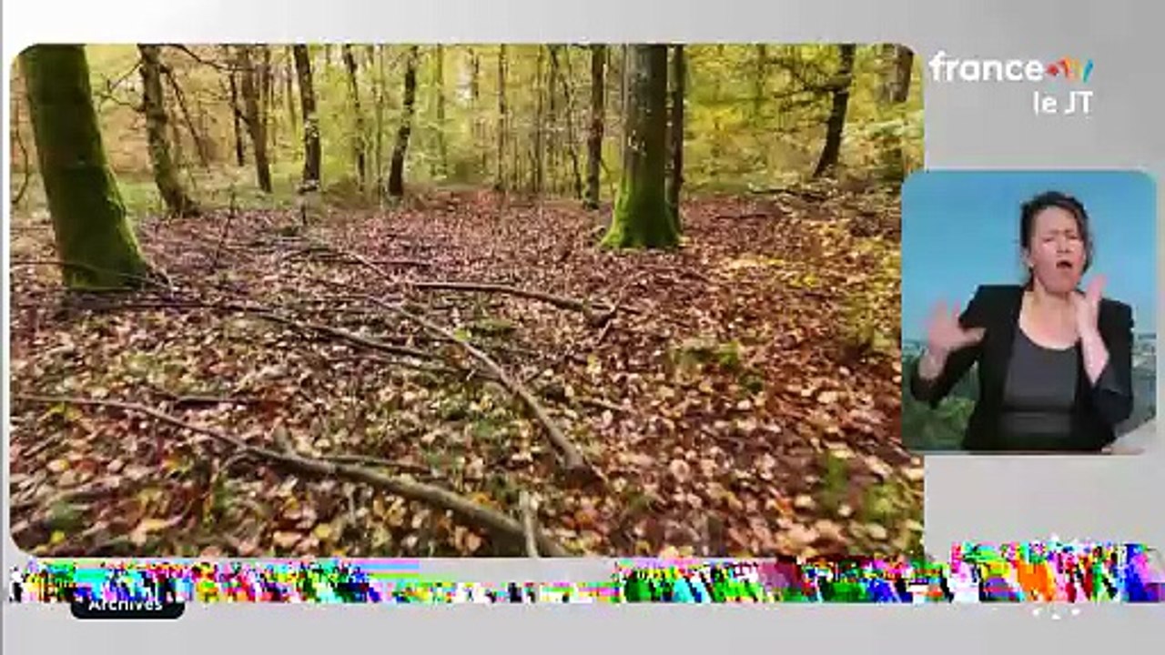 Mort d’Elisa Pilarski : son compagnon jugé pour homicide involontaire par morsures de chien