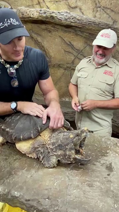 Is this Bowser?😳 If you like your fingers then don’t mess with these guys😅 This is an Alliagtor snapping turtle and its got the name because