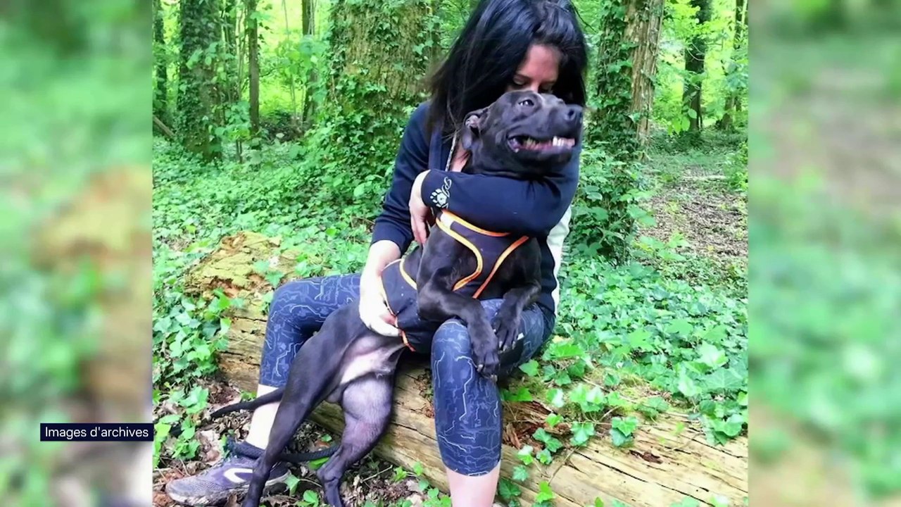 Mort d'Elisa Pilarski: le procès de son compagnon, Christophe Ellul, pour "homicide involontaire par agression d'un chien" s'est ouvert à Soissons