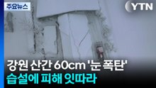 경칩 앞두고 60cm '눈 폭탄'...무거운 습설에 피해 잇따라 / YTN