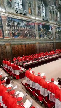 Cardinal found with phone during secret conclave to elect Pope Leo, book says