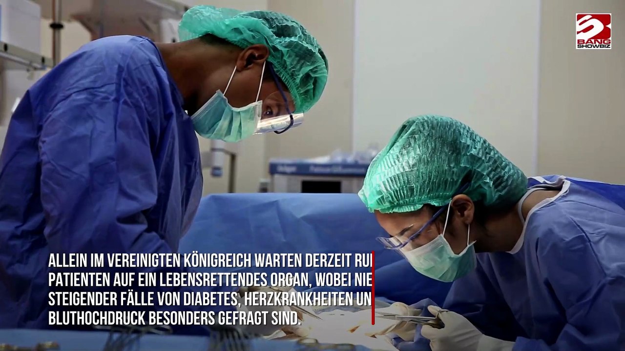 Schweine könnten künftig für menschliche Transplantationsorgane gezüchtet werden