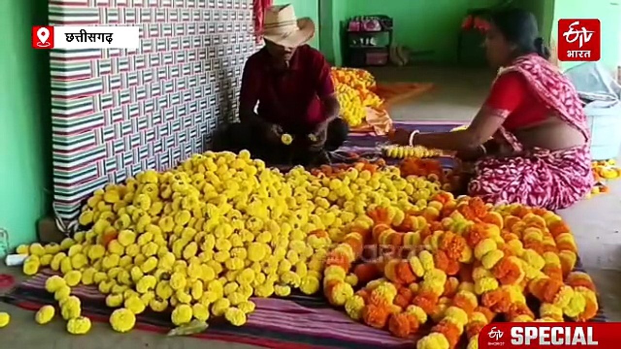 Success Story: 21 साल की उम्र और लाखों की आमदनी, फूलों की खेती से सरगुजा की महिला किसान ने बदली किस्मत