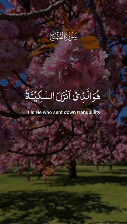 🌿✨ Surah Al-Fatḥ (48:4) — سورة الفتح 🤍 The Gift of Sakīnah (Inner Peace) 🌙🕊️ #love #Quran #viral #shorts #trending #youtubeshorts #fyp #short #SurahAlFath #Sakinah #Faith #viral #shorts #trending #IslamicReminder
