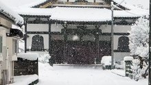 Snowfall in Niigata City🇯🇵❄️ | 新潟市で降雪