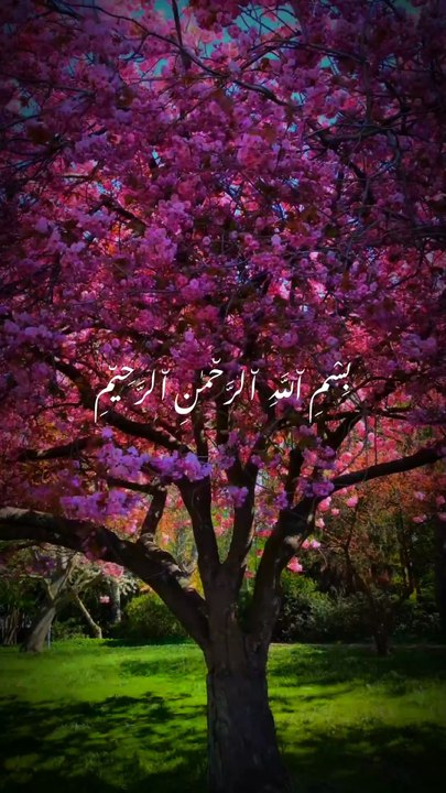 Powerful Hajj Reminder 🤍 | Surah Baqarah 2:199