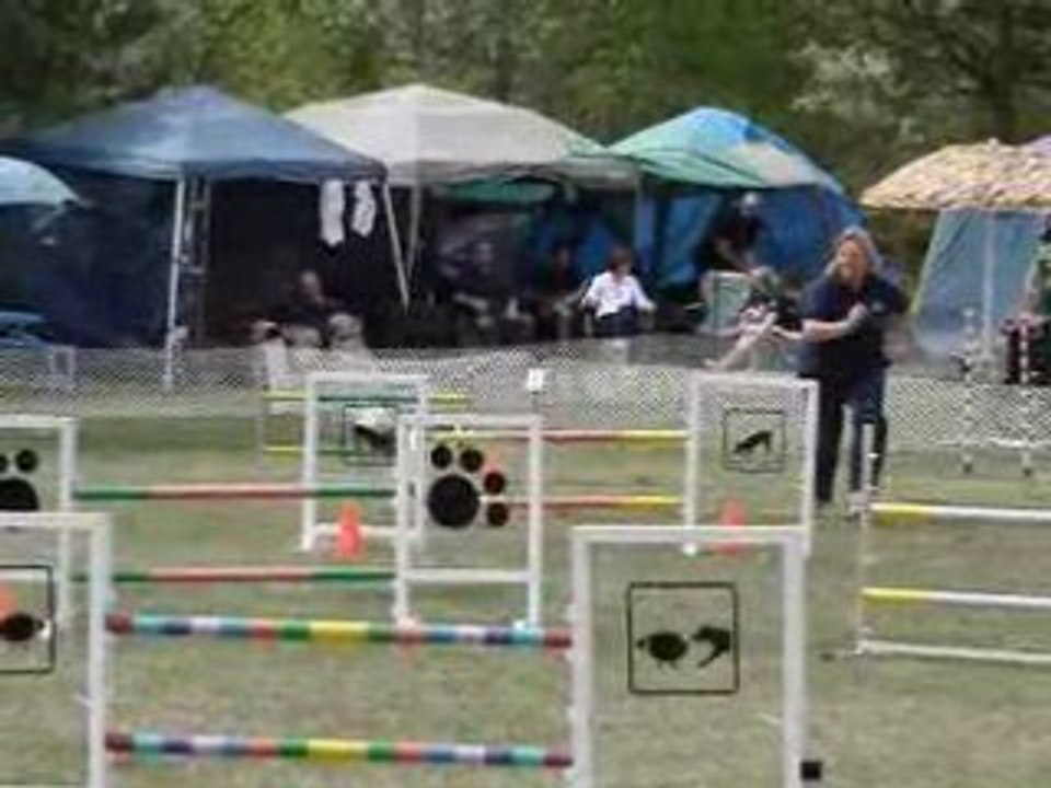 Standard expert  18 mai