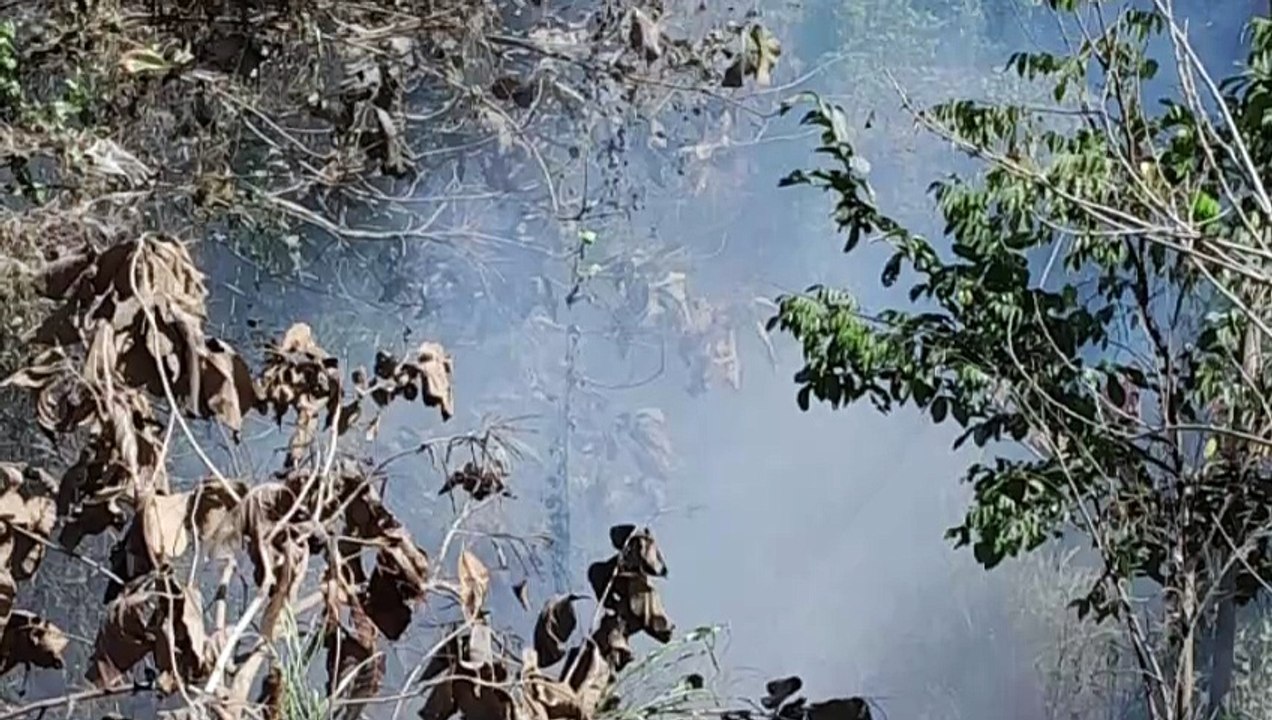 Valle Dorado “asfixiado” por quemas clandestinas | CPS Noticias Puerto Vallarta