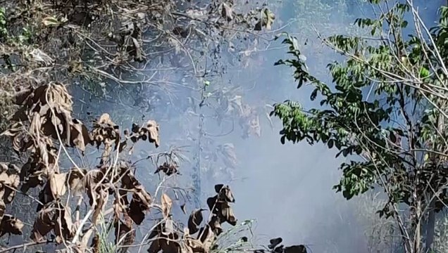 Valle Dorado “asfixiado” por quemas clandestinas | CPS Noticias Puerto Vallarta