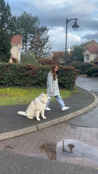 Nos 30 missions à faire pour assouvir tous les besoins de ton chien sont sur nos autres réseaux ♥️🐕. N’oublie pas que tu peux tout faire avec lui, il suffit de le vouloir ✨