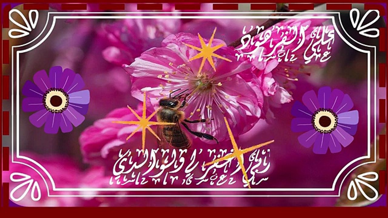 قرآن بصوت جميل يبكي قناة علي الفرهود