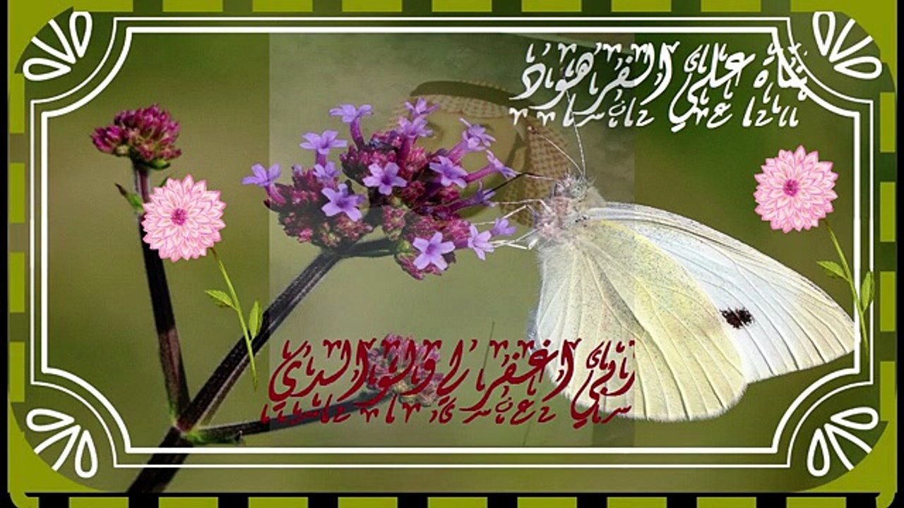 القران الكريم اجمل صوت قران حزين قناة علي الفرهود