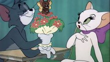 Tom And Jerry - 055 - Casanova Cat (1951)