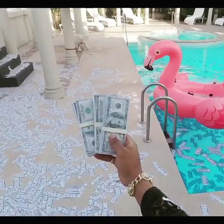 بعد فيديو رمي المال في حوض السباحة محمد رمضان يرمي المال على الحيوانات