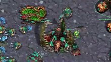 starcraft community