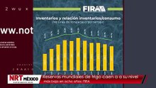 Reservas mundiales de trigo caen a su nivel más bajo en ocho años: FIRA