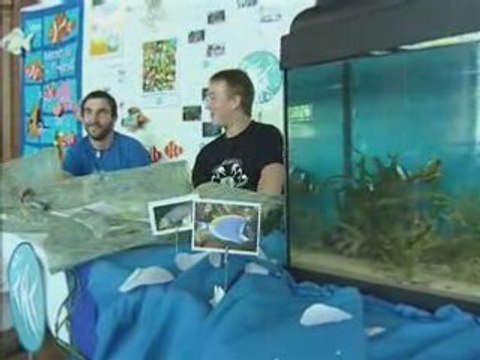 JOURNAL 02 juin 2008 CALAISTV