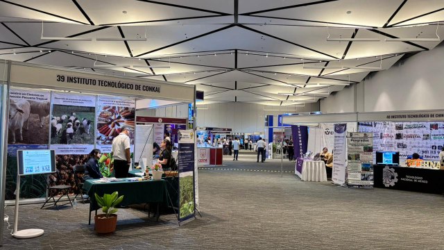 Feria de Posgrados 2026 en Yucatán, oferta de maestrías, doctorados y becas internacionales