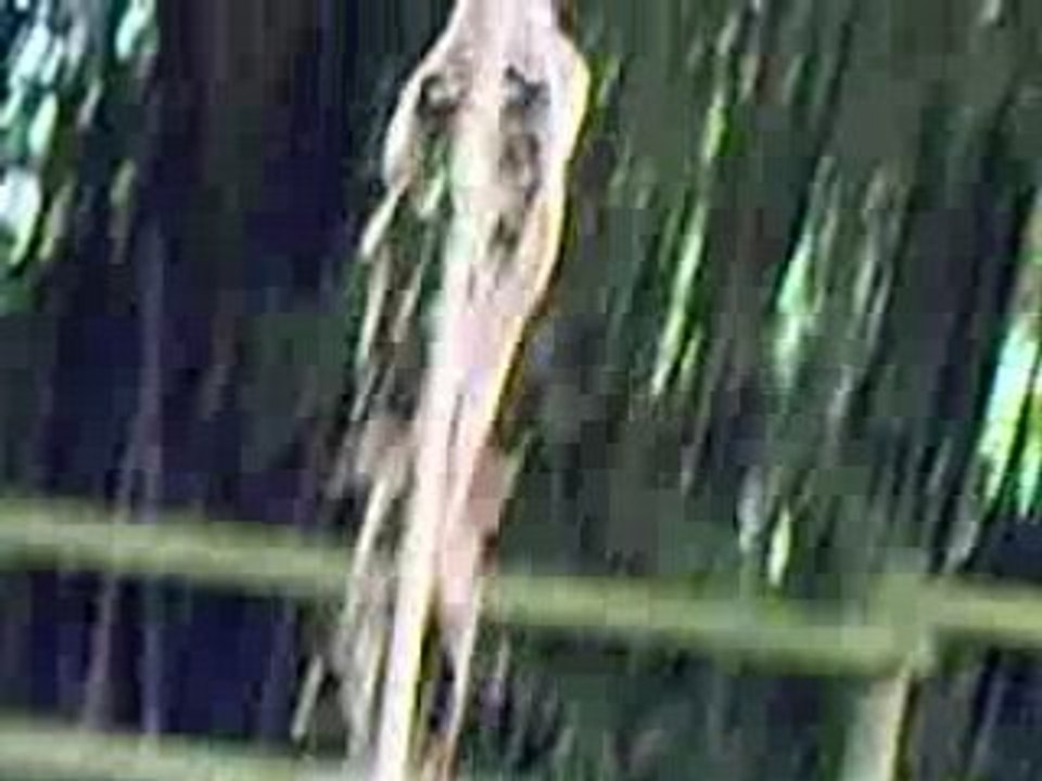 Un délire avec mes potes