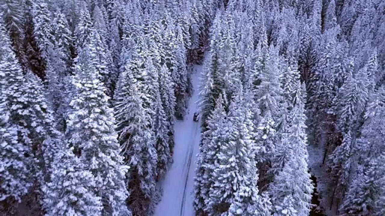Winter, Snow, Nature