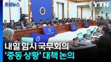 이 대통령, 내일 임시 국무회의...'중동 상황' 대책 논의 / YTN