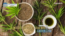혈관 건강에 도움 주는 이것의 정체는 '대마종자유'