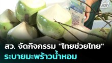 สว. จัดกิจกรรม "ไทยช่วยไทย" ระบายมะพร้าวน้ำหอม | เที่ยงทันข่าว | 4 มี.ค. 69