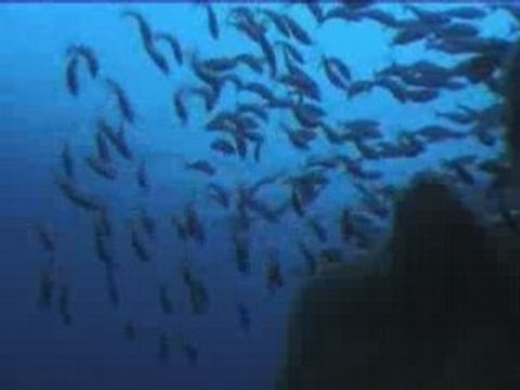 Quand El Niño se prépare