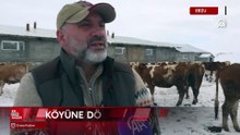 İstanbul'u bırakıp köyüne dönen mühendis hayvancılıkta örnek oluyor