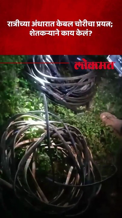 चोरट्यांचा रात्रीच्या अंधारात धुमाकुळ; शेतकऱ्यांच्या सतर्कतेमुळे अनर्थ टळला