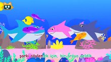 Köpekbalığı Şarkısı | MiniYo Sualtı Şarkıları