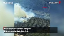 Osmaniye'de orman yangını! Rüzgarın etkisiyle büyüdü