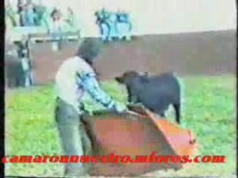 Camaron Toreando inedito