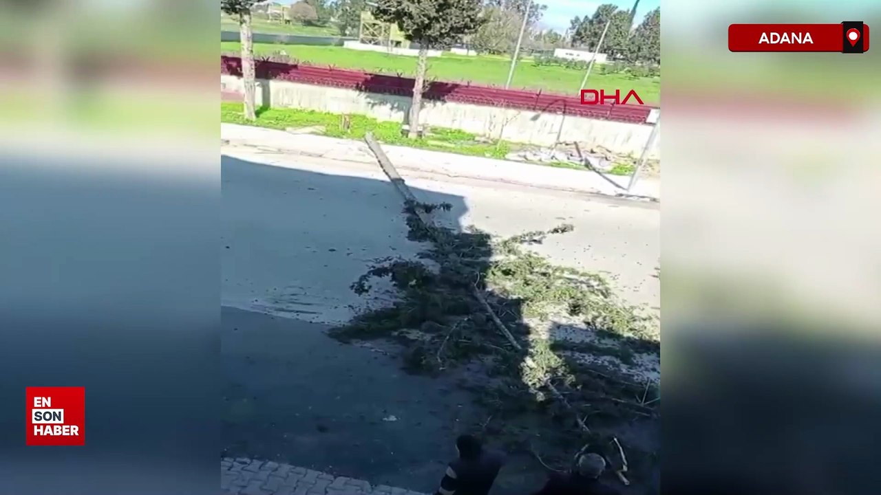 Adana’da şiddetli rüzgar ağaçları devirdi, araçlara zarar verdi