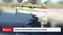 Adana'da rüzgar nedeniyle ağaçlar devrildi