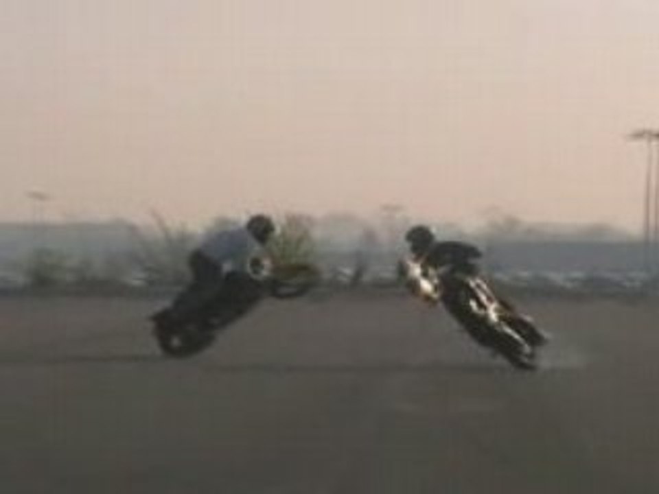 Team viper - Stunt movies