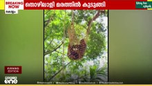 മരം മുറിക്കാൻ കയറിയപ്പോൾ BP കുറഞ്ഞു; തൊഴിലാളി മുകളിൽ കുടുങ്ങി; സംഭവം കൊല്ലം തെന്മലയിൽ