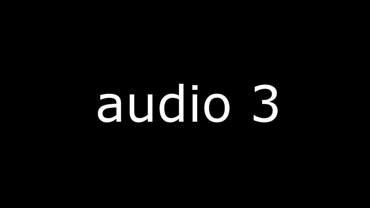 AUDIO 3